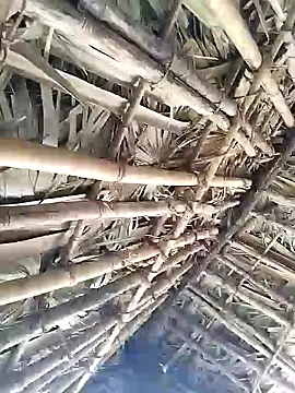 Mrveda66 online show from February 9, 2026, 6:22 am