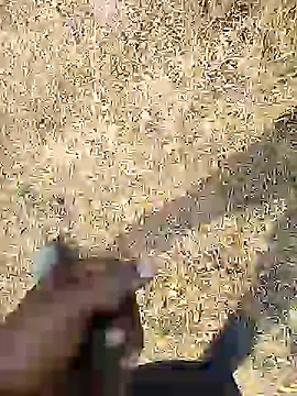 Mrveda66 online show from February 18, 2026, 10:01 am