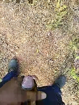 Mrveda66 online show from February 19, 2026, 10:34 am