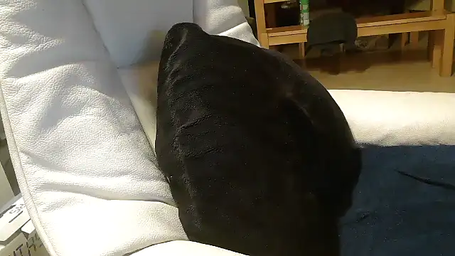 Snapshot of defttonguexxx chatting on January 8, 2026, 9:21 pm defttonguexxx online show from January 8, 2026, 9:21 pm