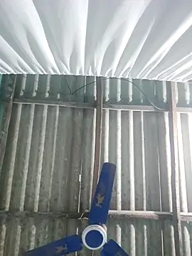 hotbaby 5 online show from November 18, 2025, 3:59 pm