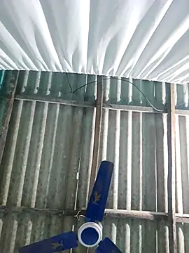 hotbaby 5 online show from November 22, 2025, 6:34 am