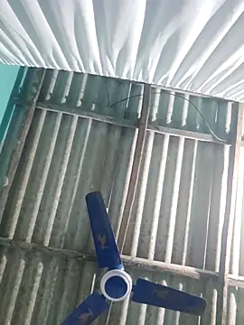 hotbaby 5 online show from November 23, 2025, 5:28 am