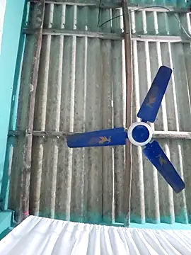 hotbaby 5 online show from November 16, 2025, 5:12 am