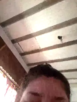 CAT28004 online show from November 15, 2025, 3:38 pm