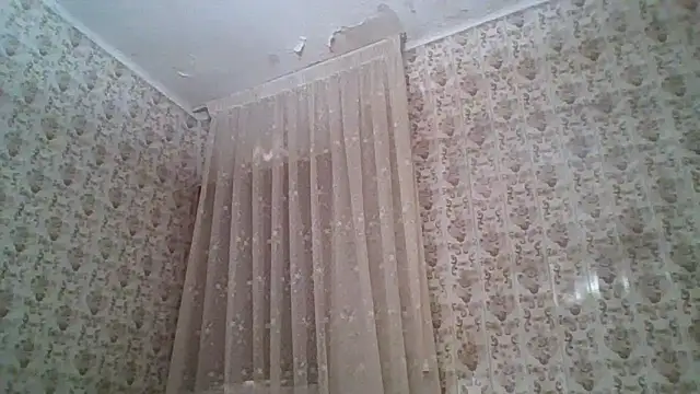 beardken online show from May 24, 2026, 10:59 am