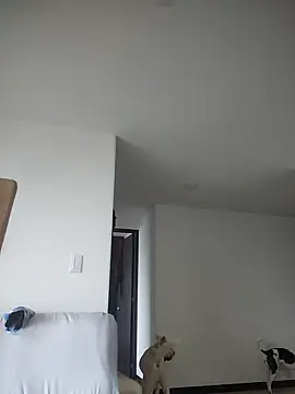 Snapshot of 911Calling chatting on February 4, 2025, 9:41 pm 911Calling online show from February 4, 2025, 9:41 pm