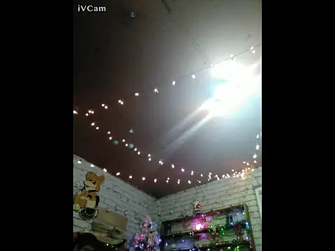 flammingcheeks online show from December 27, 2024, 11:42 pm