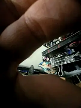 SunnyWild online show from April 18, 2026, 12:24 am