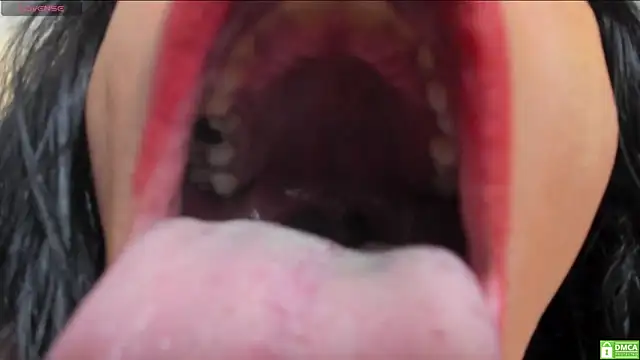 Snapshot of bigblacktransxxx chatting on March 1, 2026, 4:12 am bigblacktransxxx online show from March 1, 2026, 4:12 am