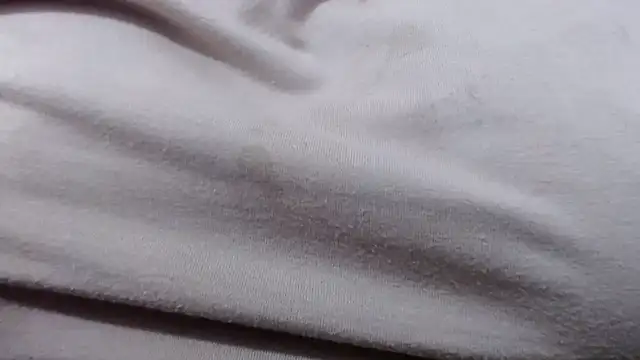 Extreme diaperdirty online show from November 29, 2025, 12:55 am