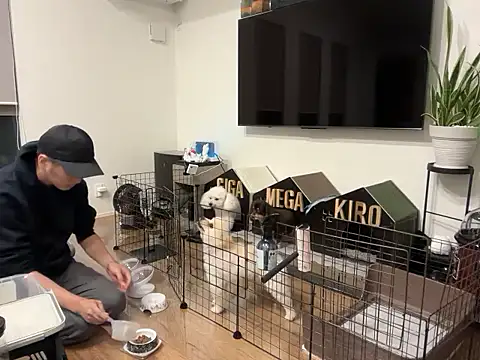 kensnb online show from October 21, 2025, 9:30 am