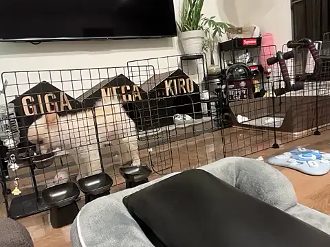 kensnb online show from November 2, 2025, 8:03 pm