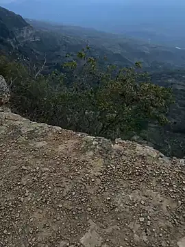 cataafitt online show from March 5, 2025, 11:16 pm