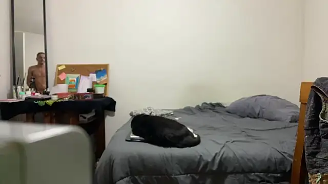 villanocat online show from December 20, 2024, 5:04 am