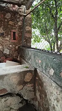 sweet outdoor charm online show from April 17, 2026, 4:10 pm