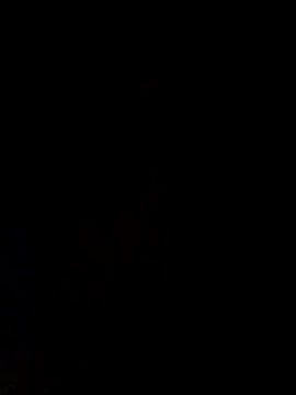 Snapshot of Opsquad12345 chatting on October 4, 2025, 5:20 am Opsquad12345 online show from October 4, 2025, 5:20 am