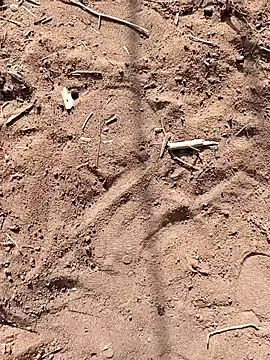 paugrande453 online show from September 24, 2025, 10:55 am