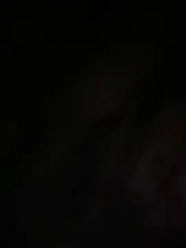 Snapshot of Xixi-Gala chatting on December 22, 2024, 8:27 am Xixi-Gala online show from December 22, 2024, 8:27 am