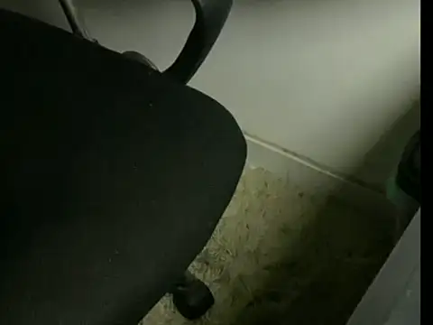 inkjohnrj online show from April 6, 2026, 4:46 am