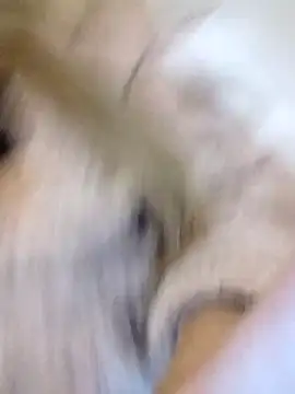 fofinhaa12 online show from February 10, 2026, 1:15 am