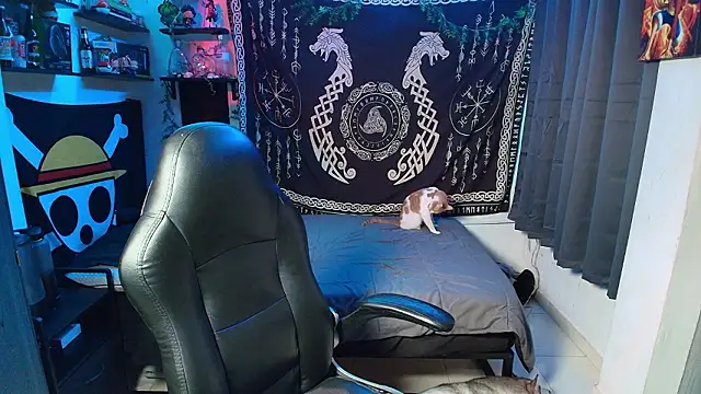 Snapshot of kairozz chatting on February 18, 2026, 8:05 pm kairozz online show from February 18, 2026, 8:05 pm