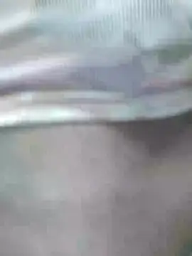 ShelfyOfferer online show from April 28, 2026, 6:56 pm