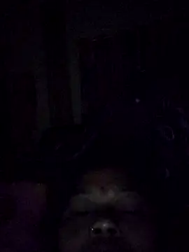 Bangarupapa online show from February 26, 2026, 12:32 am