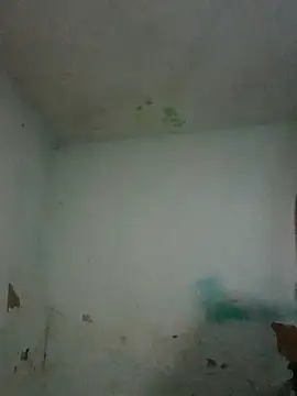  violetta - online show from November 1, 2025, 12:32 pm