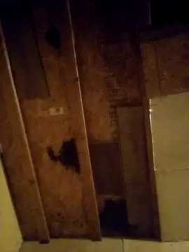 beliqi online show from December 15, 2024, 1:24 am