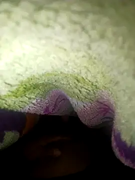 beliqi online show from November 24, 2025, 11:43 am