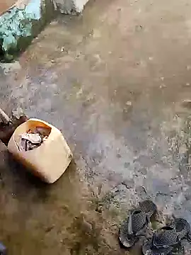 poojaji2024 online show from December 5, 2024, 5:43 am