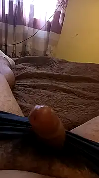 pedritolobito online show from January 31, 2025, 1:45 pm