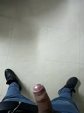 pedritolobito online show from December 3, 2024, 1:47 am