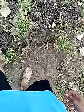 Piyush 2024 online show from April 3, 2026, 2:18 am