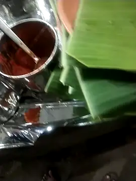 bhavyatelugupilla online show from January 15, 2025, 2:35 pm