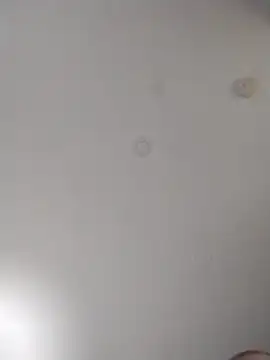 geilerschwanz64 online show from October 10, 2025, 6:03 am