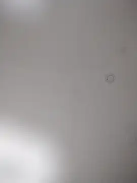 geilerschwanz64 online show from October 25, 2025, 8:20 pm