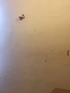 Snapshot of kittyprettybby chatting on March 12, 2026, 10:47 pm kittyprettybby online show from March 12, 2026, 10:47 pm