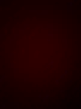 Snapshot of DINA-FOX chatting on January 30, 2025, 11:55 pm DINA-FOX online show from January 30, 2025, 11:55 pm