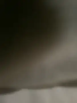 Snapshot of DINA-FOX chatting on February 1, 2025, 2:02 pm DINA-FOX online show from February 1, 2025, 2:02 pm