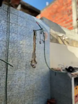 Snapshot of Leo_bunny_hot chatting on February 3, 2026, 8:58 pm Leo bunny hot online show from February 3, 2026, 8:58 pm