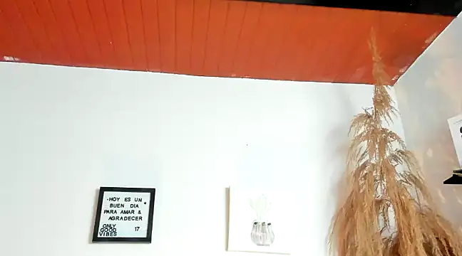 Pamelabru online show from January 18, 2025, 2:02 pm