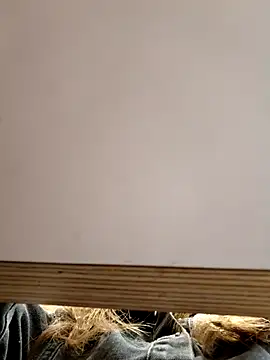 Snapshot of Alexvit2616 chatting on October 31, 2025, 9:17 am Alexvit2616 online show from October 31, 2025, 9:17 am