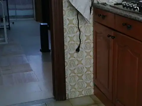 VeneRed online show from October 13, 2025, 8:05 am