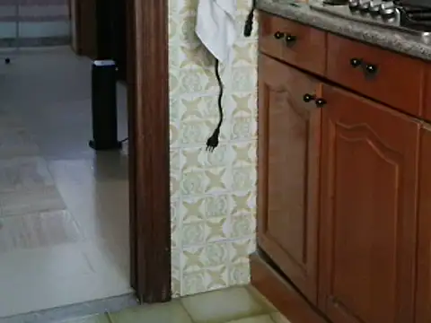 VeneRed online show from October 14, 2025, 8:15 am