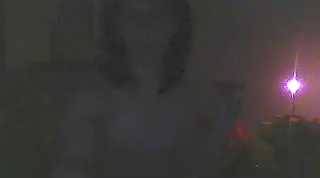 Snapshot of Just_Gabriella chatting on March 19, 2025, 10:33 am Just Gabriella online show from March 19, 2025, 10:33 am