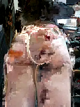 gina7772 online show from November 7, 2025, 3:33 am