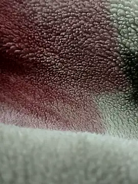 Anamika Kapoor online show from November 27, 2025, 6:25 am