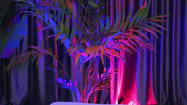 LaraSin online show from December 30, 2024, 1:15 am